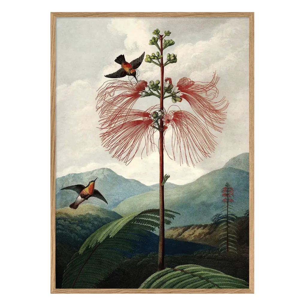 Cadre 50x70 9604 - DYBDAHL