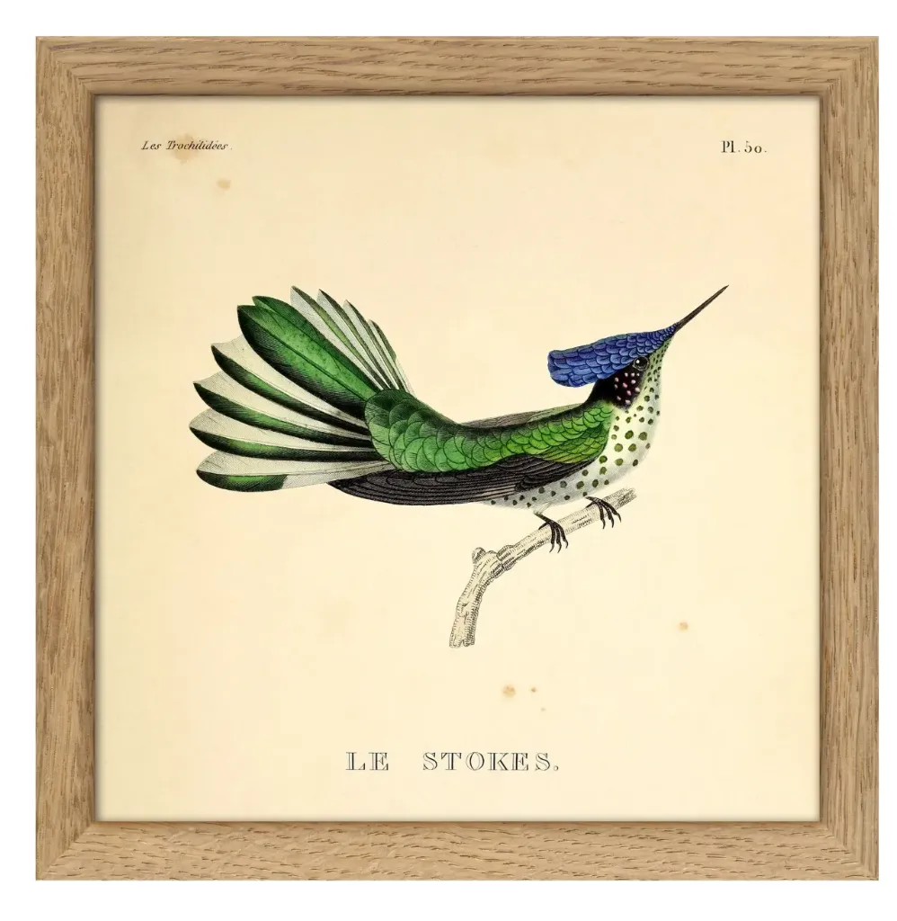 Cadre 15x15 SQ053- DYBDAHL