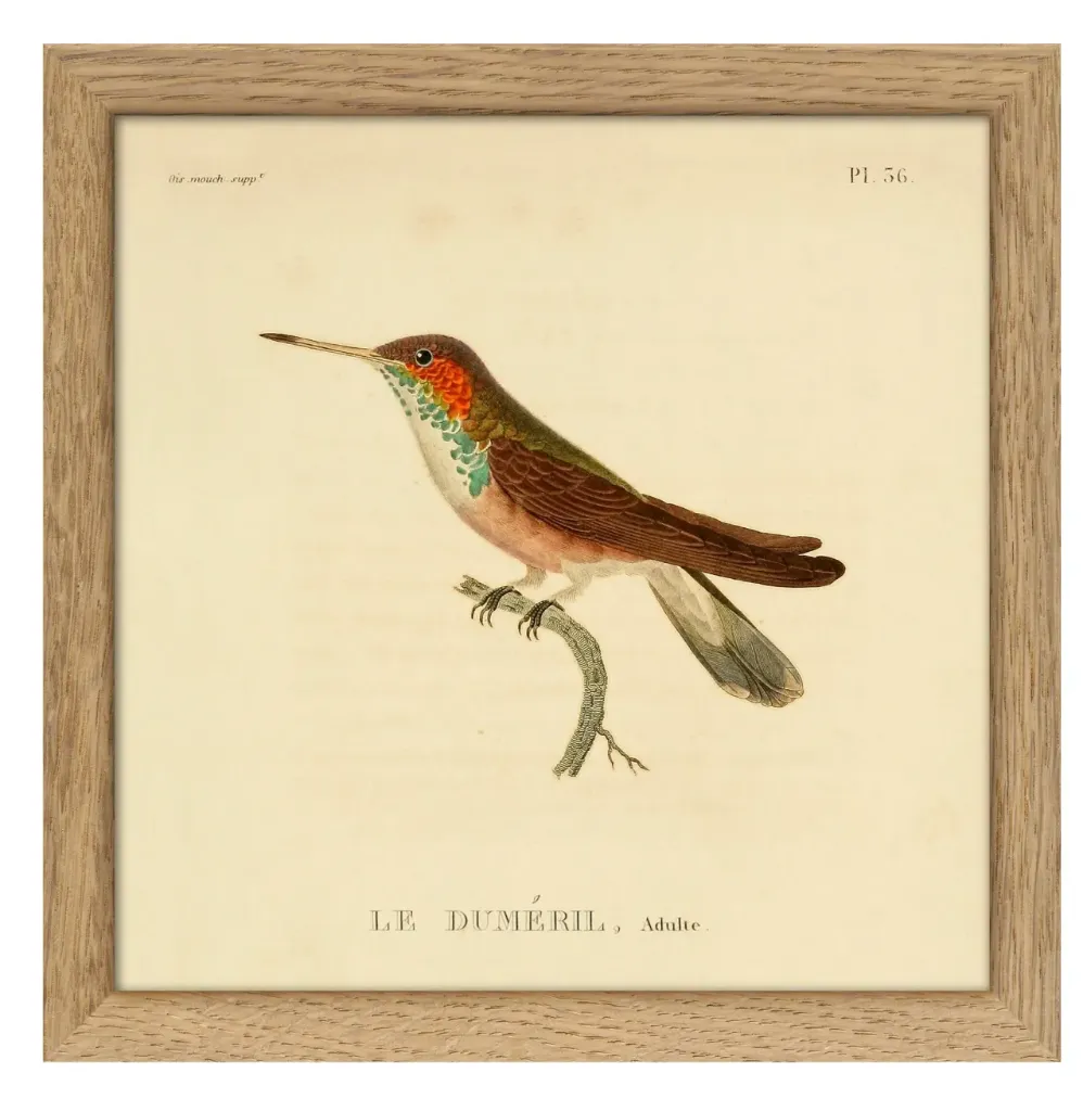 Cadre 15x15 SQ055- DYBDAHL
