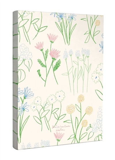 [2552119] Livre-Fleuri-cahier-HACHETTE