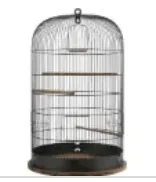 Cage oiseau M - SHISHI