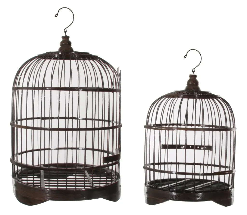 Cage oiseau S - SHISHI