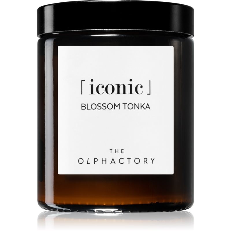 [VV135BKTO] Bougie blossom tonka iconic 135g - AOC