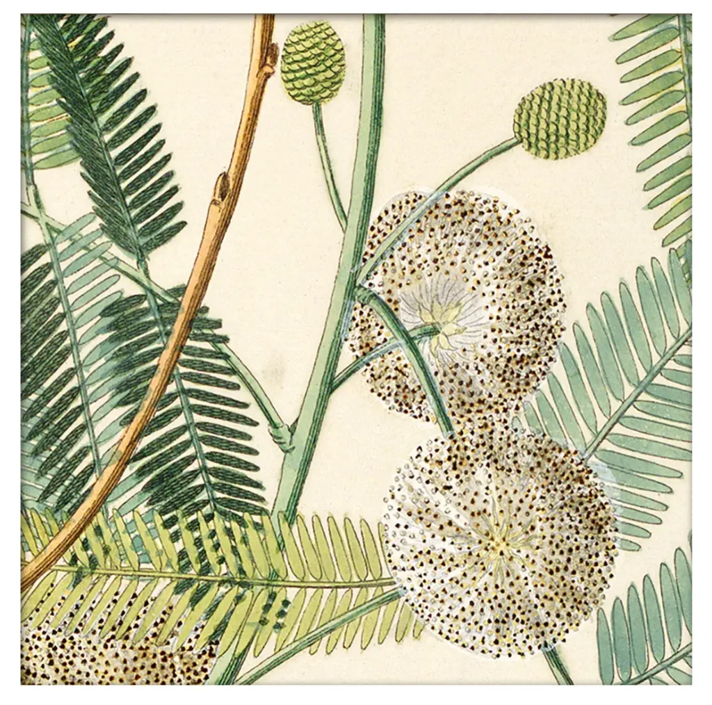 Cadre 15x15 SQ030-DYBDAHL