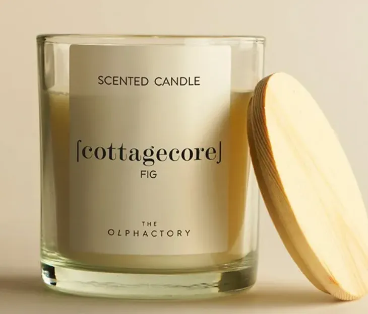 [VV401FVTO] Bougie fig cottagecore 200g-AOC