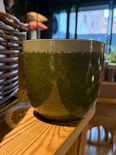 Cachepot plastique vert D14- VEGETAL