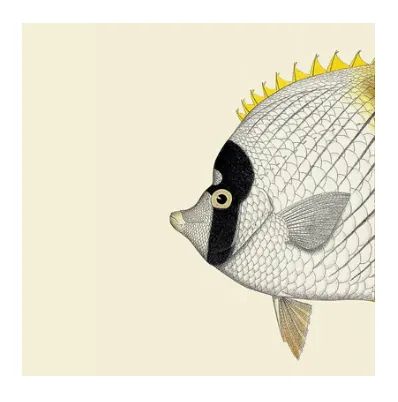 Cadre 30x30 5606-DYBDAHL