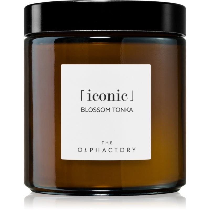 [VV360BKTO] Bougie blossom tonka iconic 360g-AOC