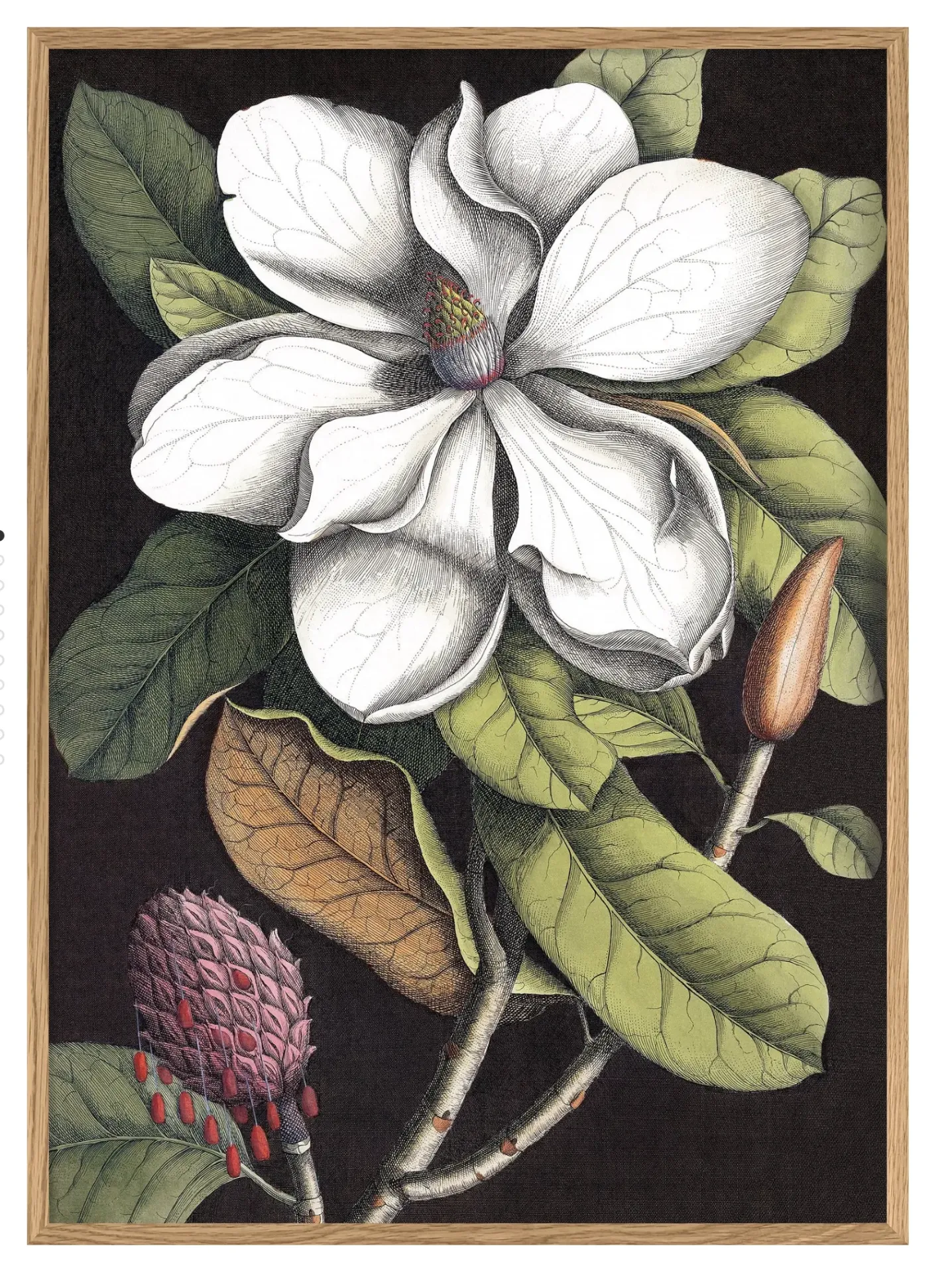 [3403] Cadre blooming white magnolia 50x70 - DYBDAHL