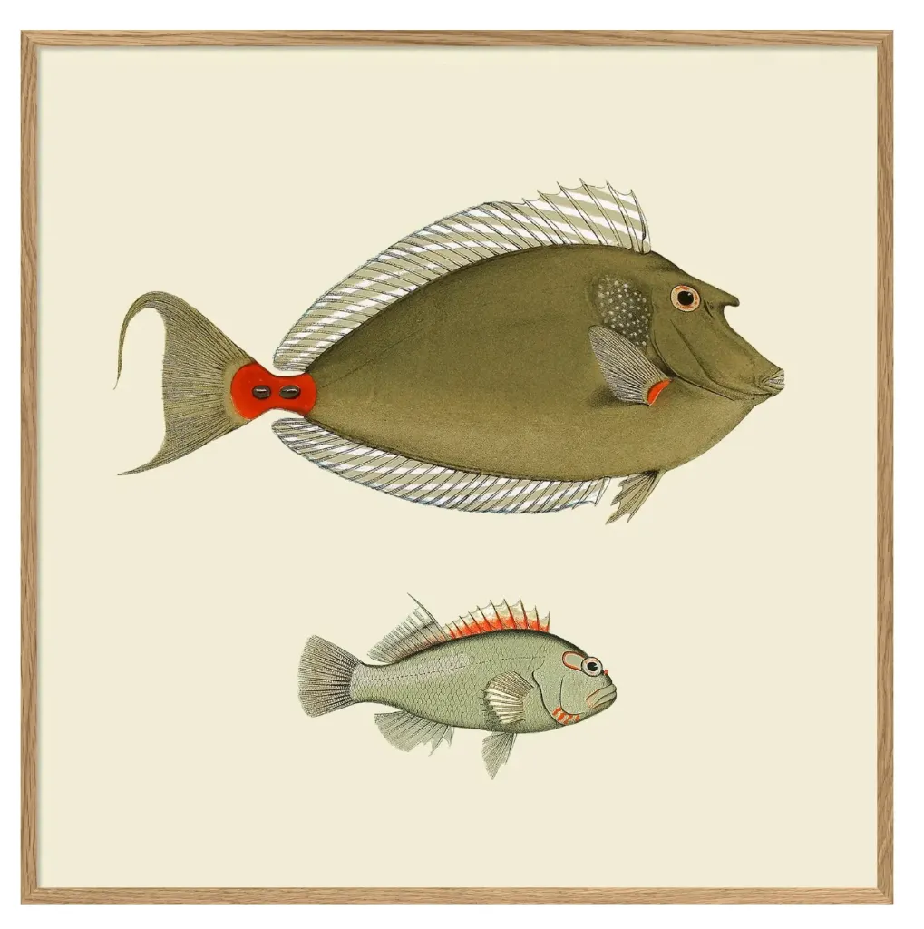 [5603] Cadre two green fish 30x30 - DYBDAHL