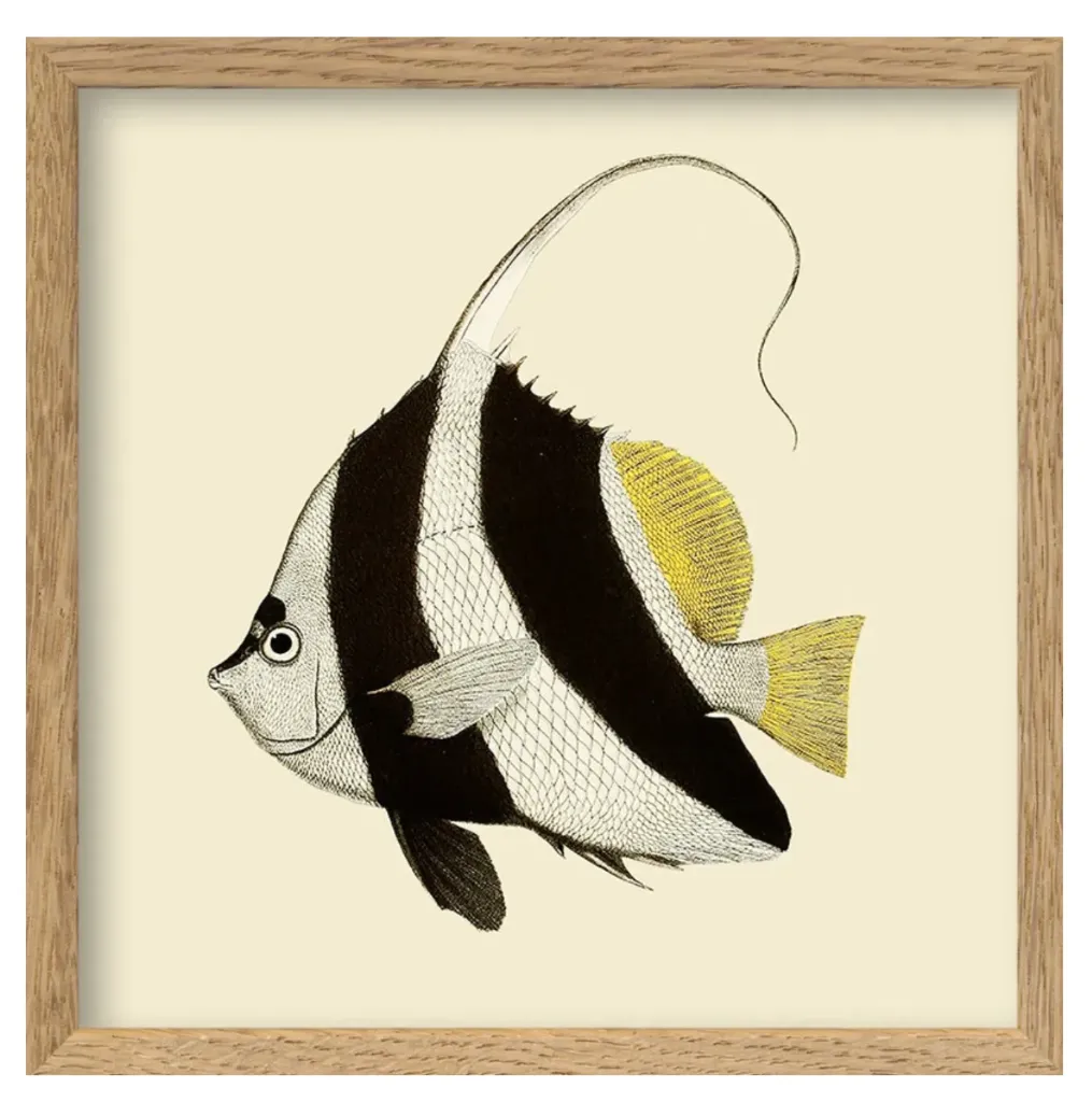[SQ178] Cadre black and white fish 15x15 - DYBDHAL