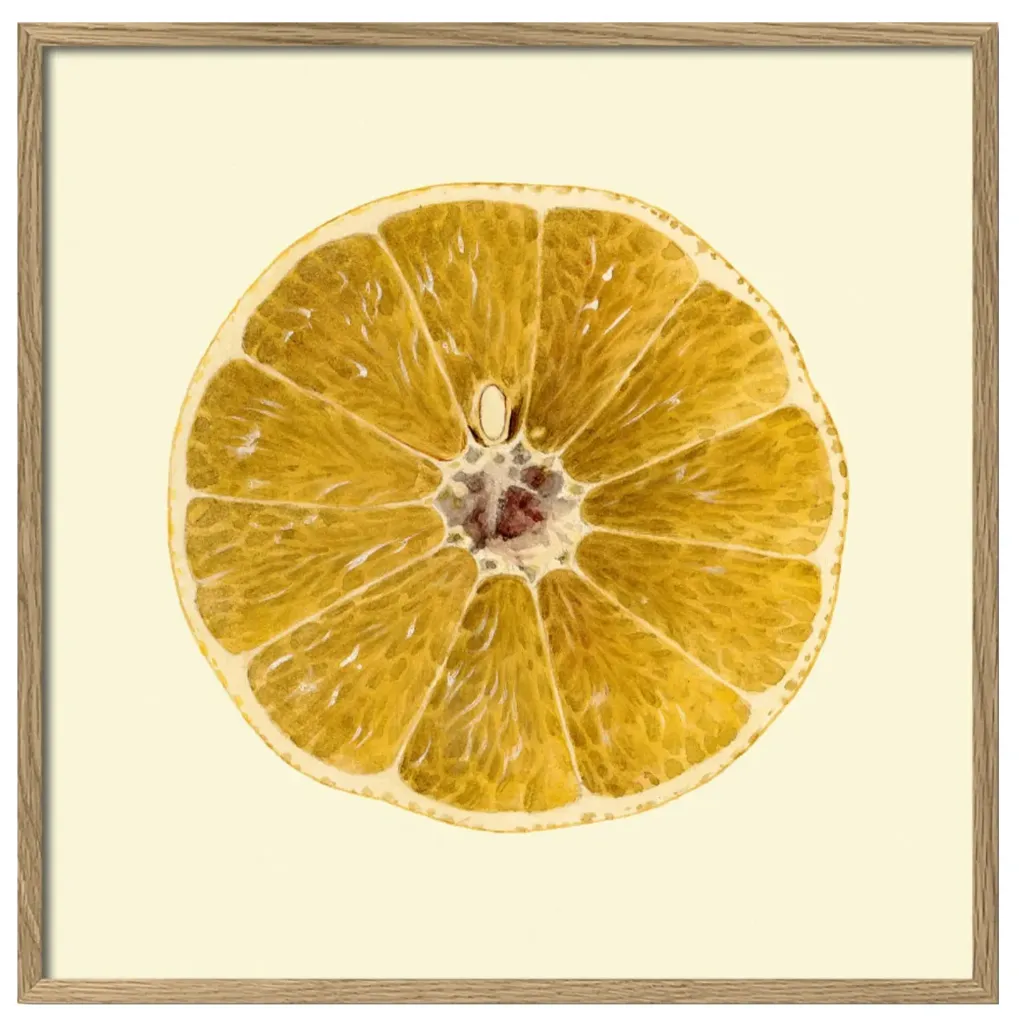 [5813] Cadre grapefuit open 15x15 - DYBDAHL