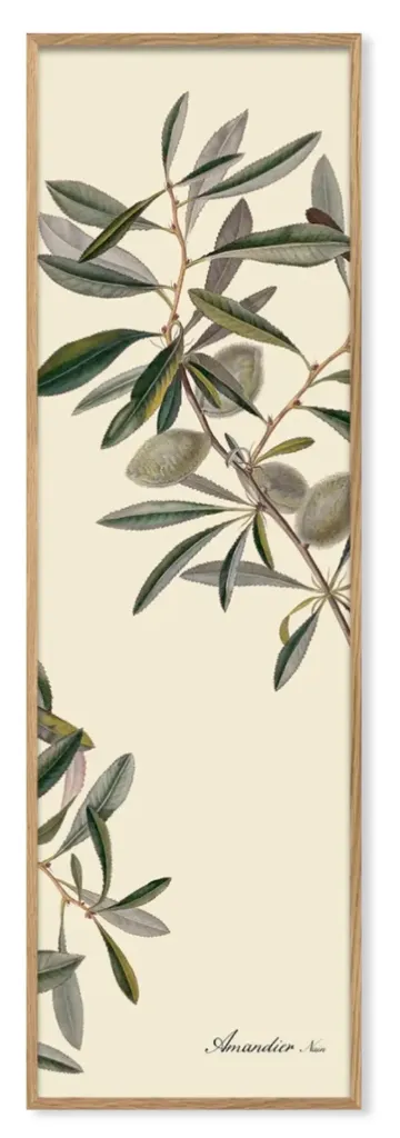 [2804] Cadre almonds slim 35x112 - DYBDAHL
