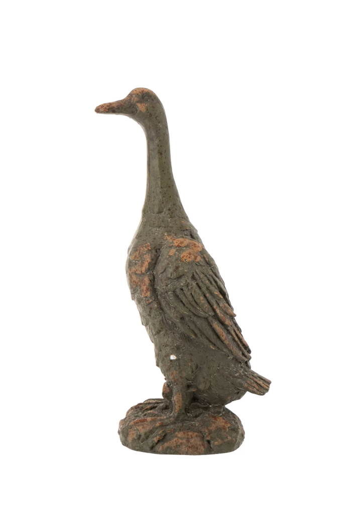 Canard exterieur - J-LINE