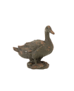 Canard assis exterieur - J-LINE