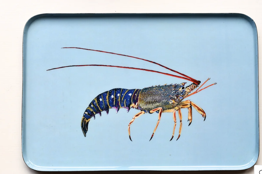 [PLT-LGT-45x30] Plateau aluminium émaillé langouste 45x30 - VAREK