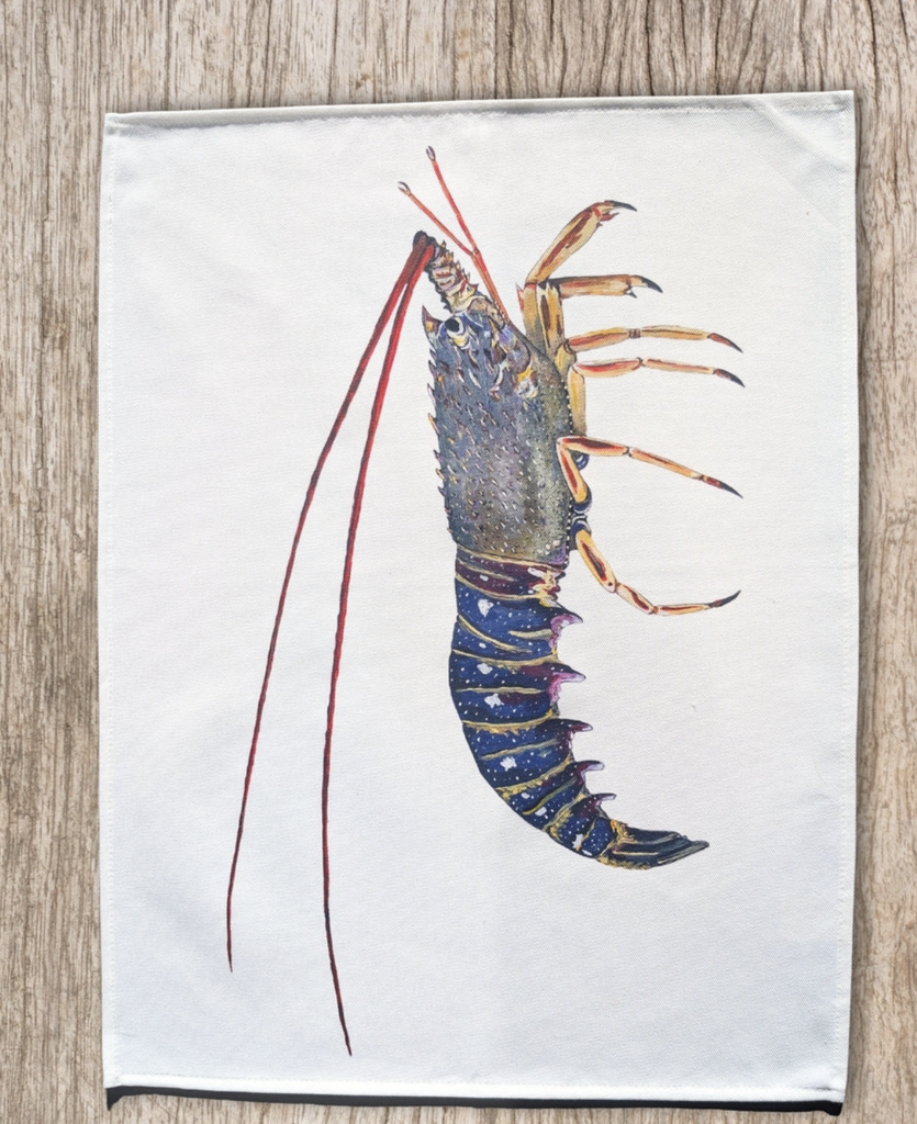 [TRC-LGT] Torchon 100% coton la langouste - VAREK