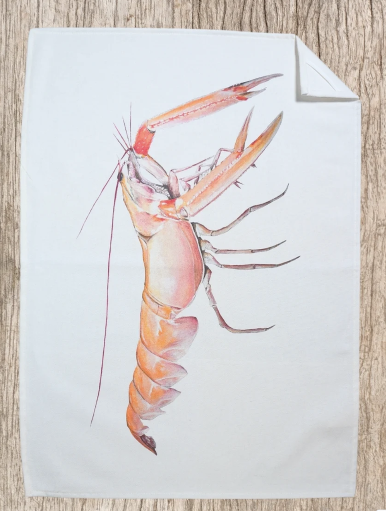 [TRC-LGST] Torchon 100% coton la langoustine - VAREK